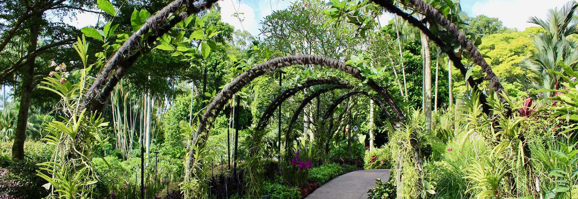 Lider Botanic Garden